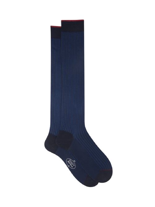 AP10621512952 BLU/ROYAL gallo | Calze | AP10621512952 BLU/ROYAL
