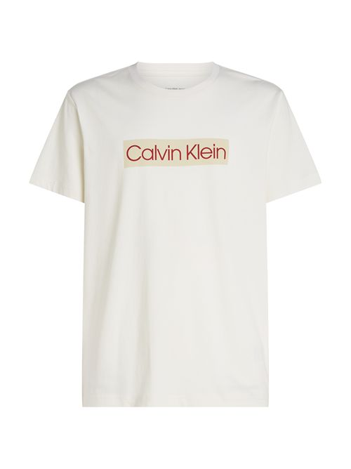 J30J327472YAS BEIGE CALVIN KLEIN | T-shirts | J30J327472YAS BEIGE