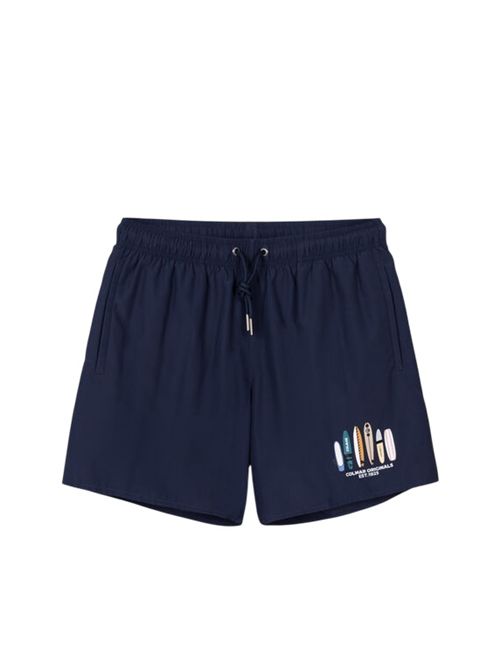 7292-4XP68 BLU COLMAR | Boxer mare | 7292-4XP68 BLU