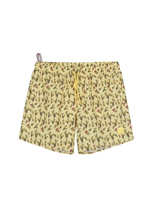 7269A-1HL65A GIALLO COLMAR | Boxer mare | 7269A-1HL65A GIALLO