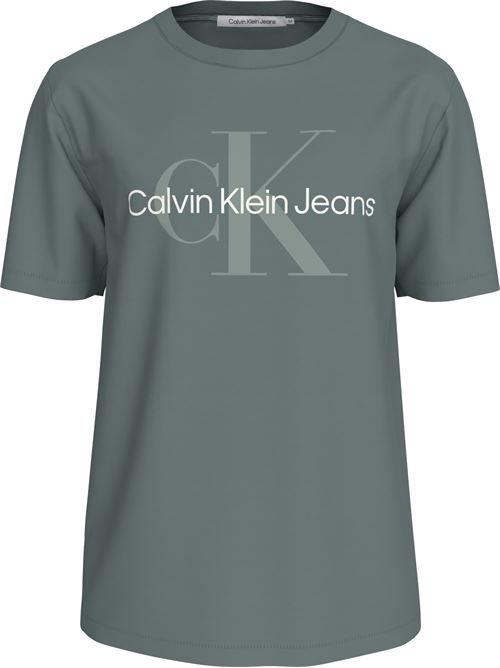 J30J320806PSL CALVIN KLEIN | T-shirts | J30J320806PSL GRIGIO